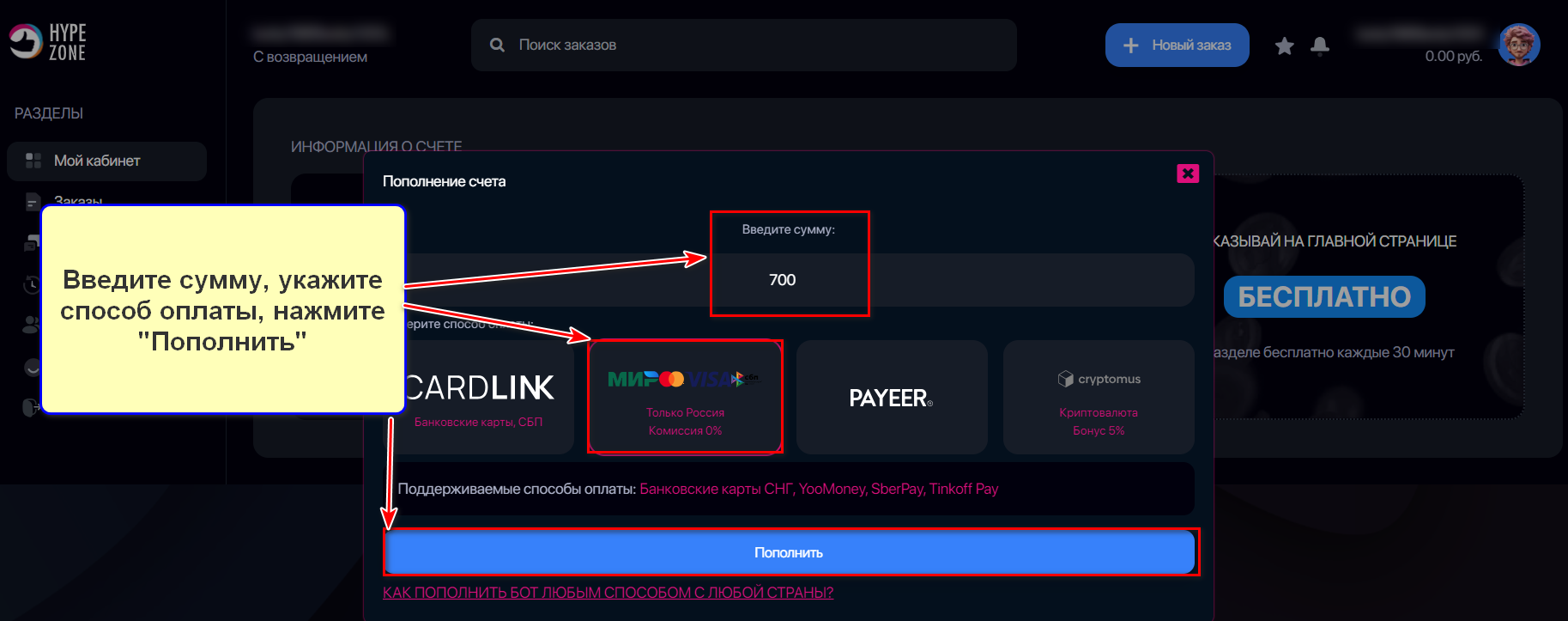 Пополнение баланса для оплаты заказа в сервисе HypeZone