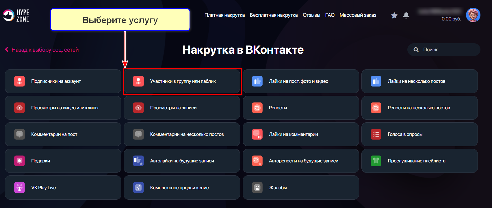Выбор услуги Участники в группу или паблик ВК в сервисе продвижения HypeZone