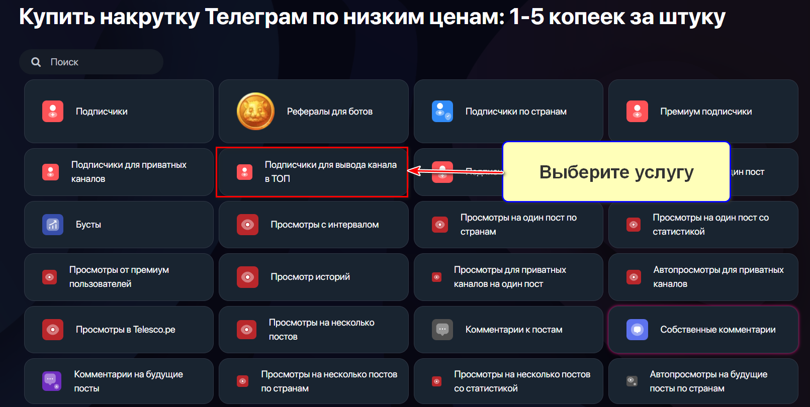Услуга Подписчики для вывода канала в ТОП в сервисе HypeZone